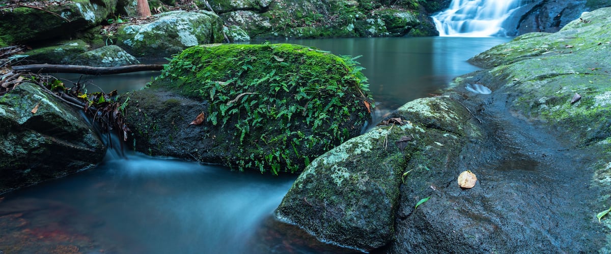 A forested area with a waterfall, moss-covered rocks, and a calm stream.