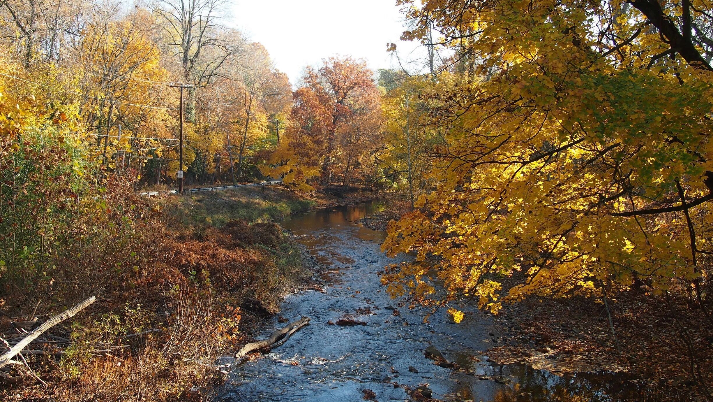 A creek in Lansdowne, Pa