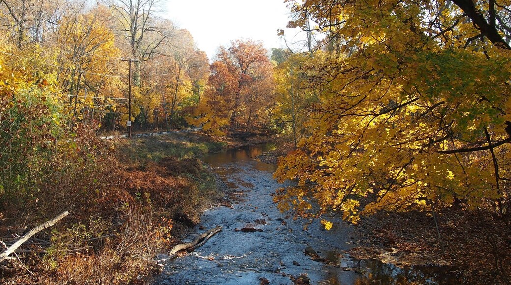 A creek in Lansdowne, Pa