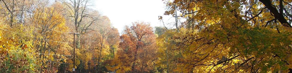 A creek in Lansdowne, Pa