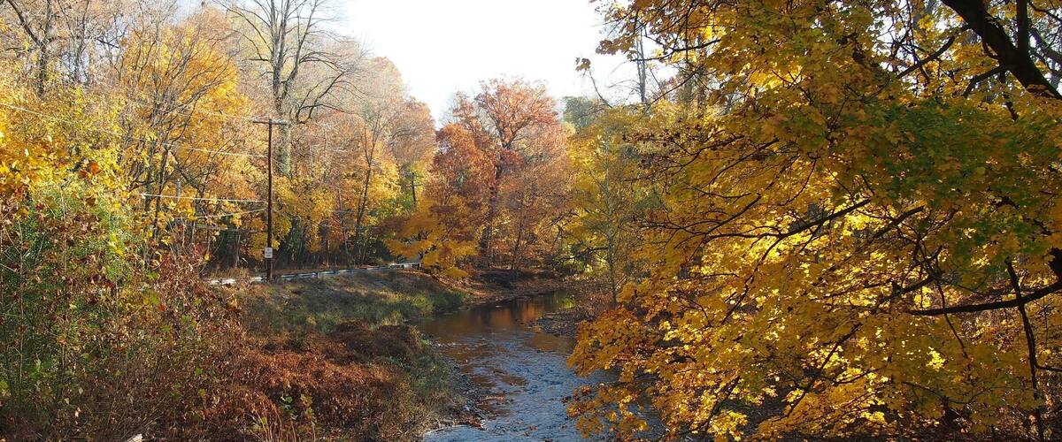 A creek in Lansdowne, Pa