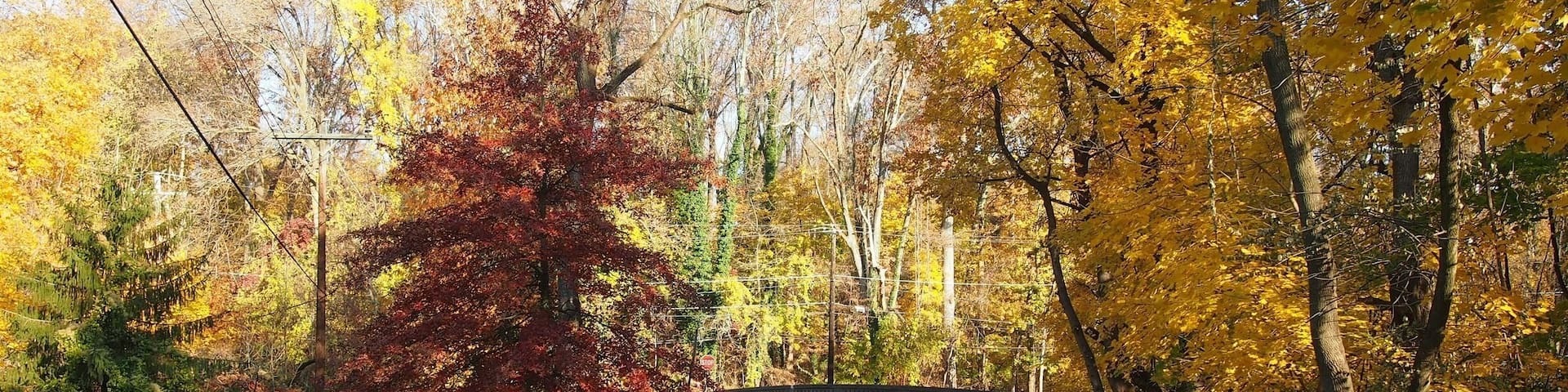 A road in Lansdowne, Pa