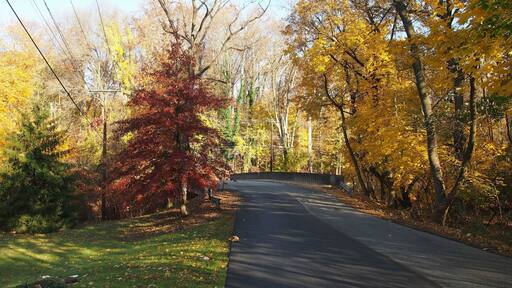 A road in Lansdowne, Pa