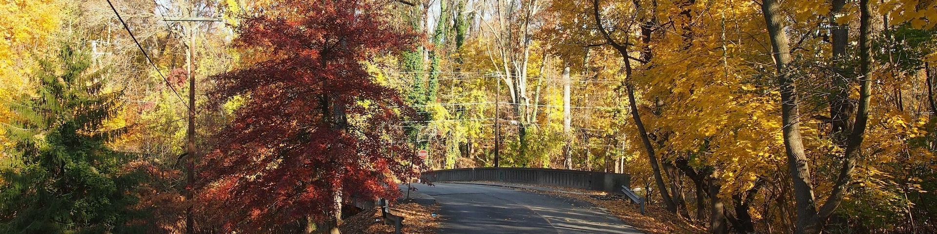 A road in Lansdowne, Pa