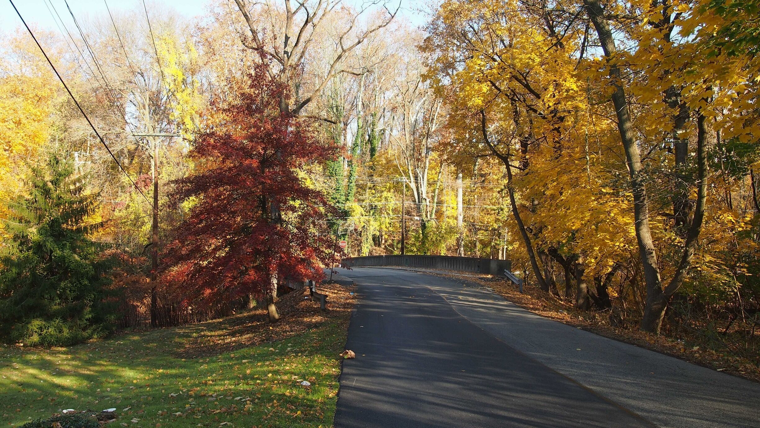 A road flanked by autumn-colored trees, a grassy area, and a concrete barrier.