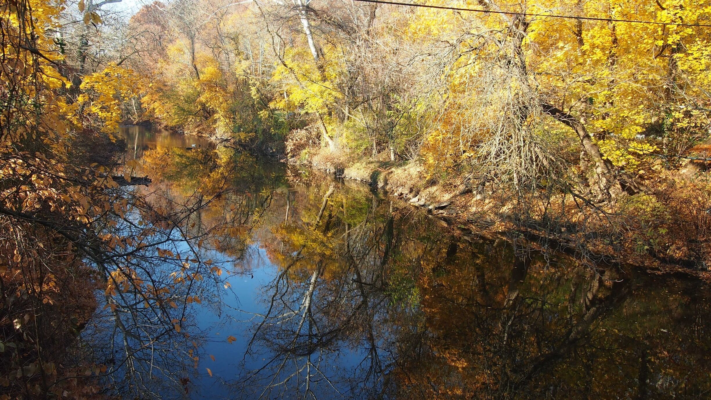 A creek in Lansdowne,  Pa