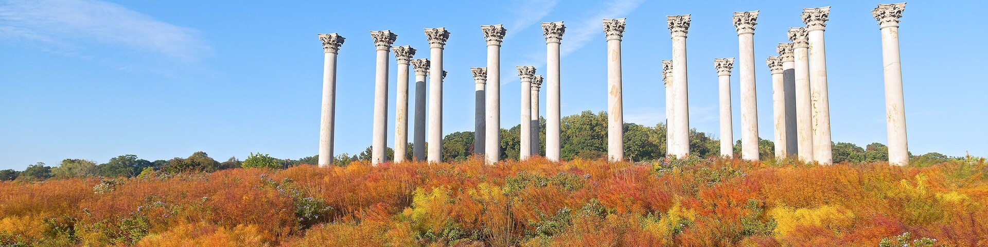 Columnas antiguas en un campo de vegetación de colores otoñales.