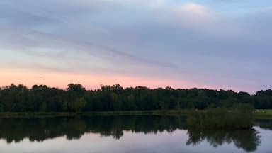 driving to California..