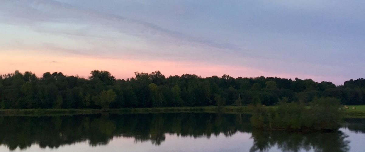 A calm lake with a forested shoreline and a clear sky.