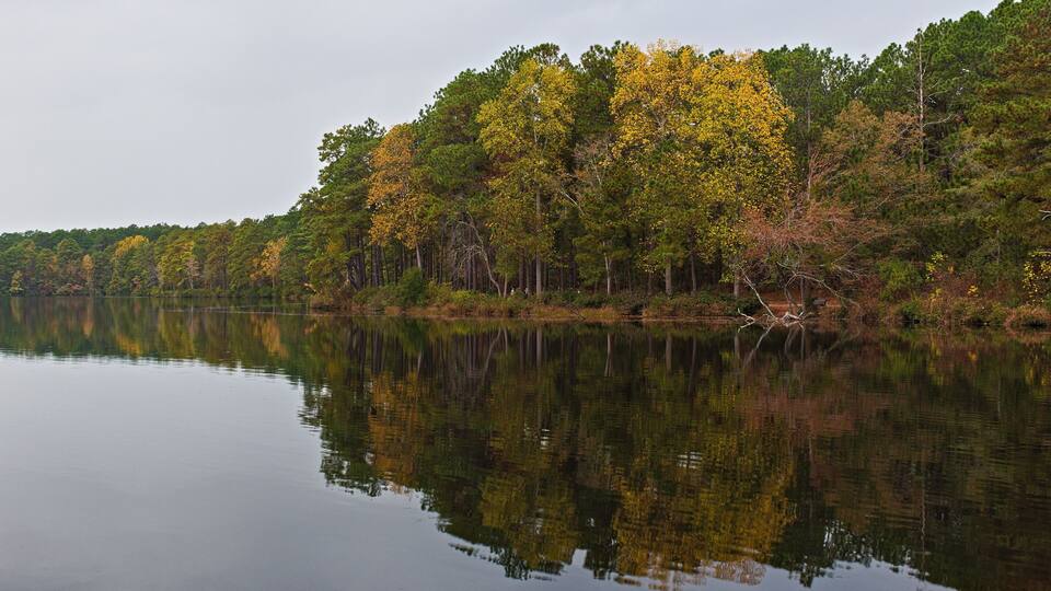 A calm lake reflecting trees with autumn foliage.