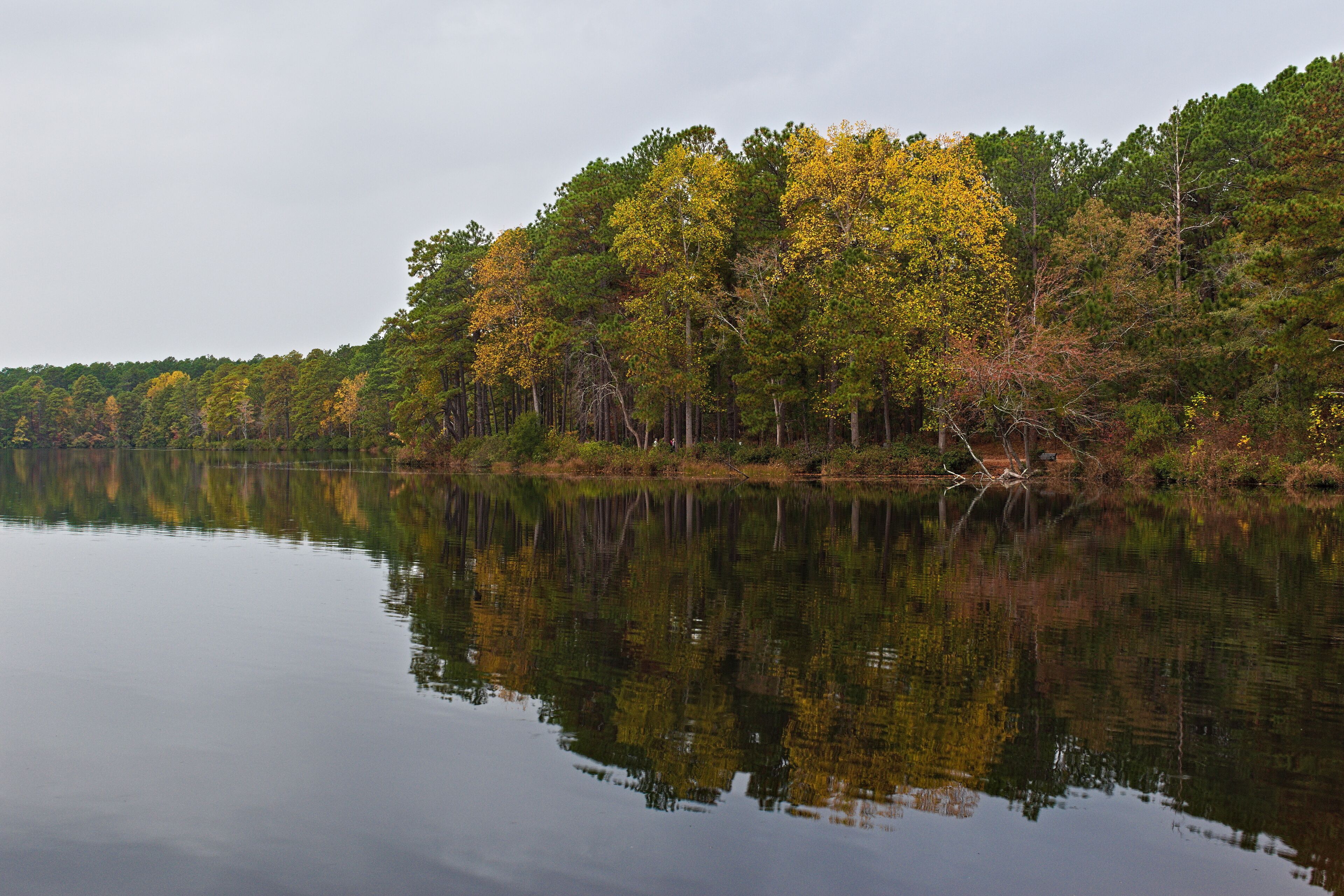 A calm lake reflecting trees with autumn foliage.