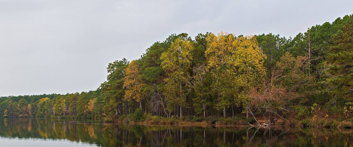 A calm lake reflecting trees with autumn foliage.