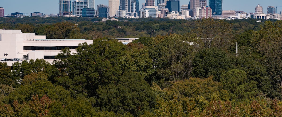 Une vue sur les toits d’une ville, avec des gratte-ciel modernes et un paysage boisé au premier plan.