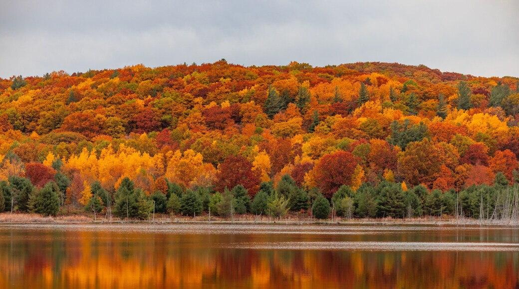 Image of the reflection of colorful trees of the hill on the lake's water during the fall season.