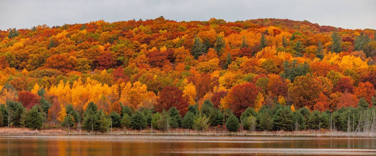 A lake reflecting a forest with autumn foliage.