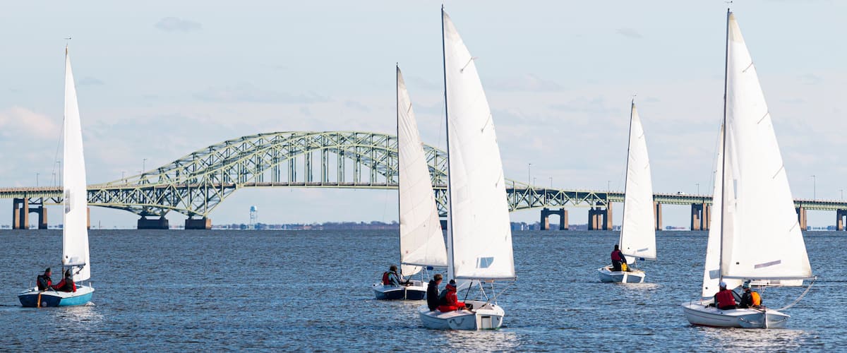 Several sailboats on a body of water with a bridge in the background.
