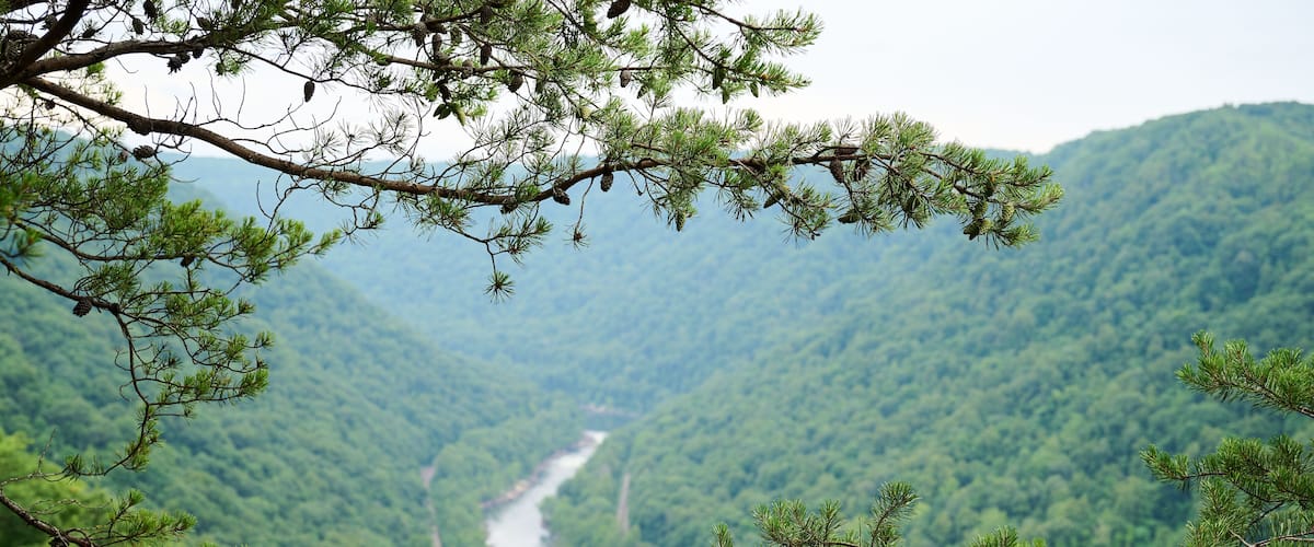 A river winding through a densely forested valley with a mountain in the background.
