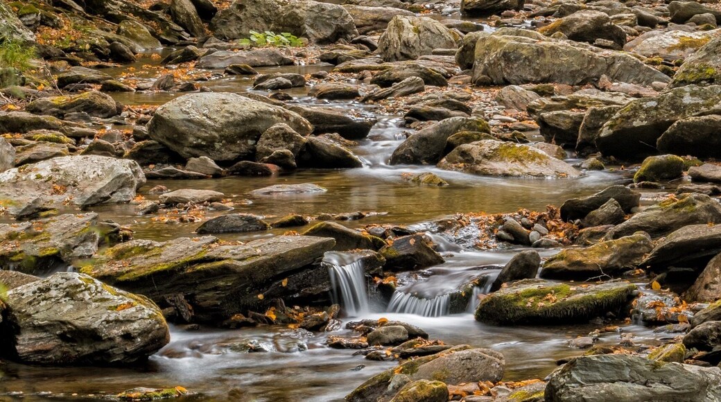 This is the stream leading up to the actual falls. The park is on the NY/MA border and was a beautiful place to also take in some fall colors. I love how the streams created these mini-falls which are accentuated when using slow shutter speeds. #BvSWater