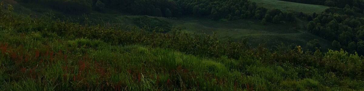 Sunrise on Max Patch.