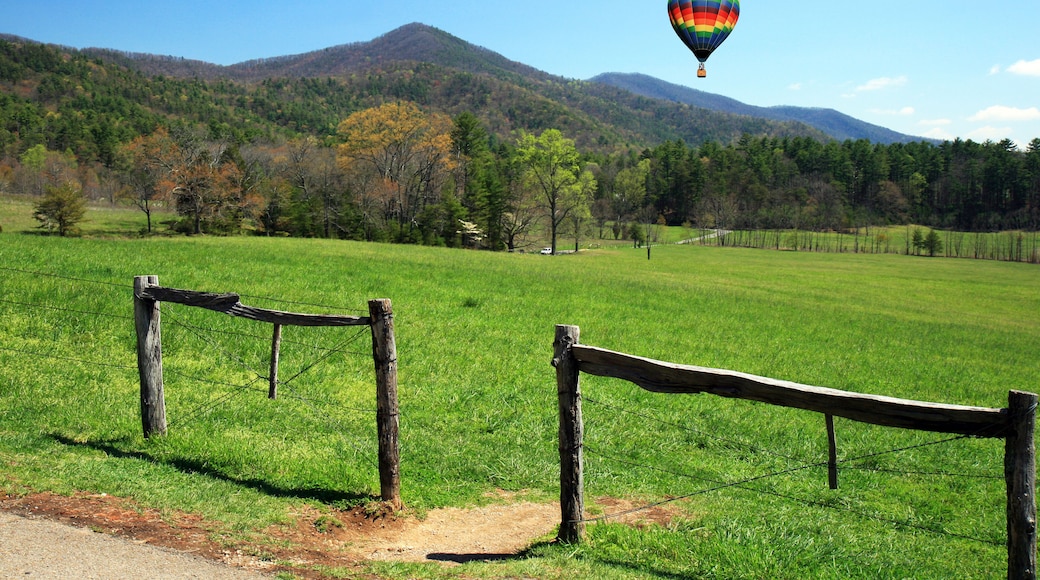 Smoky Mountain National Park