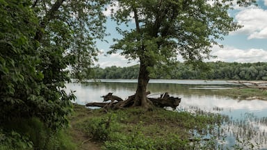 Potomac River