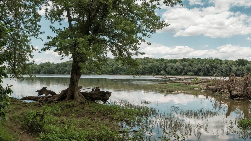 Potomac River