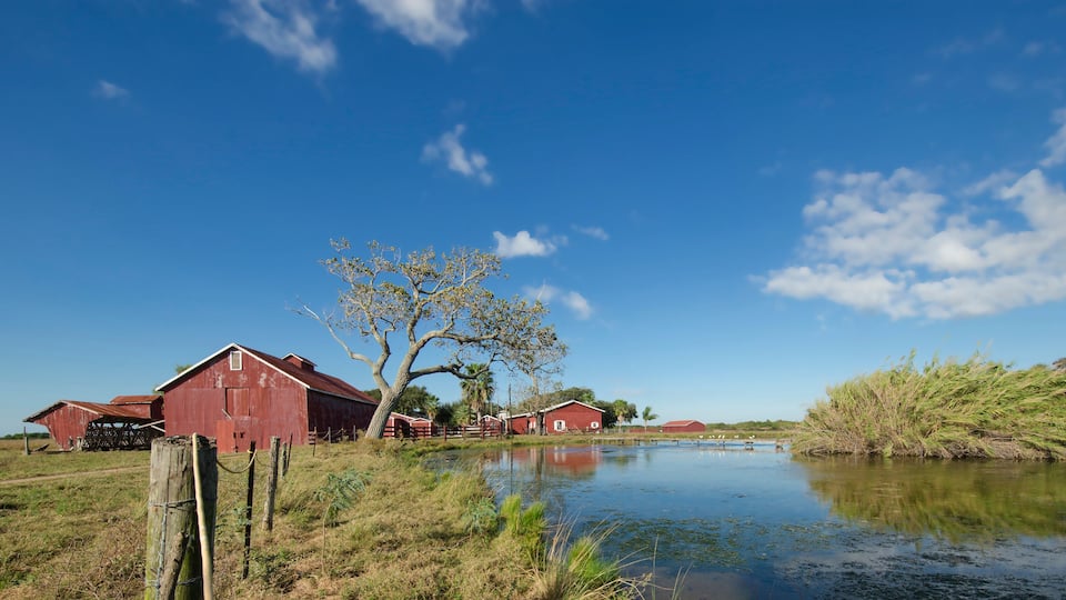 A rural landscape with a river, red barns, and a large tree.