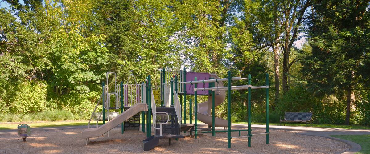 A playground with slides and climbing structures surrounded by trees and a grassy area.