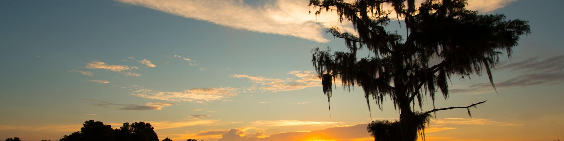 Daybreak at a central Florida lake with a dramatic cypress tree draped in spanish moss.