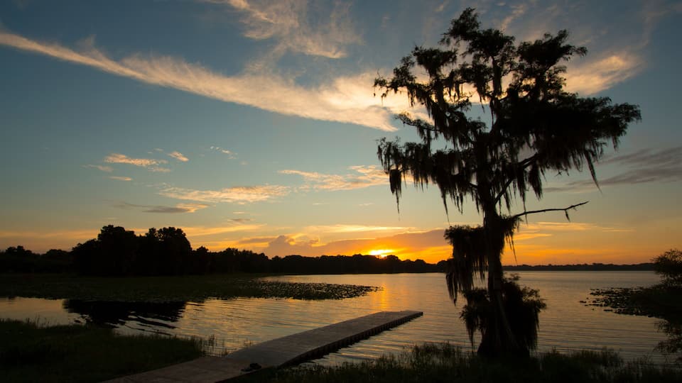 A sunset over a calm lake with a dock and a tree with Spanish moss.