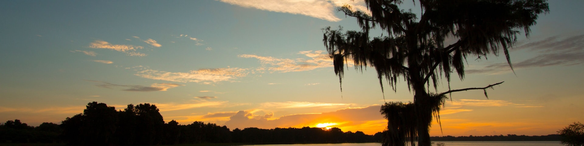 Daybreak at a central Florida lake with a dramatic cypress tree draped in spanish moss.