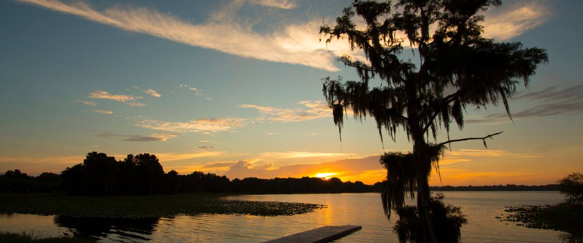 A sunset over a calm lake with a dock and a tree with Spanish moss.