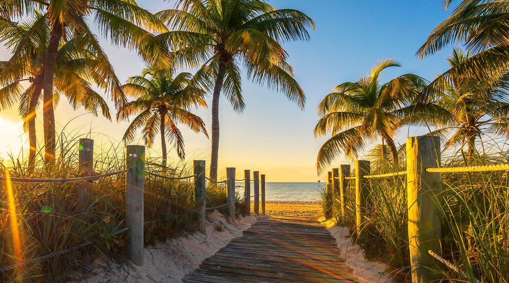 Passage to the beach at sunrise