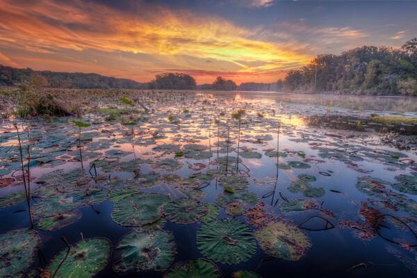Pearl River, Natchez Trace Parkway, Tennessee and Mississippi, USA