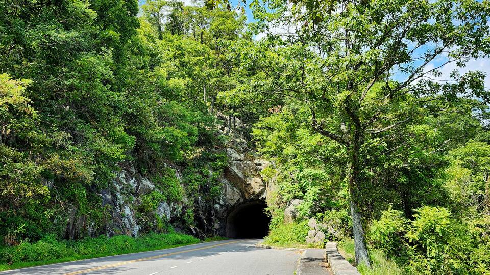 A road passing through a rocky tunnel surrounded by dense green foliage.