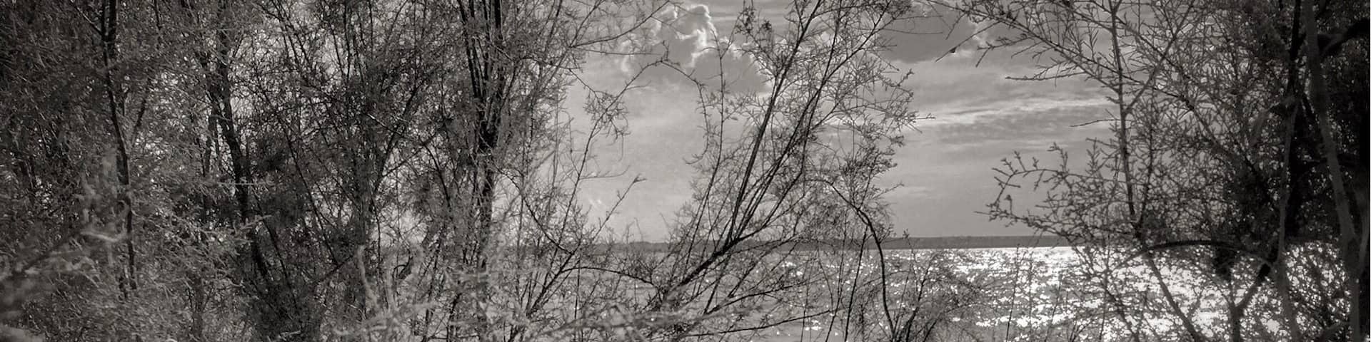 Foss Reservoir, Oklahoma. Home of Christmas In July, and the lake where cars filled with people disappeared for decades until modern sonar equipment located them recently.