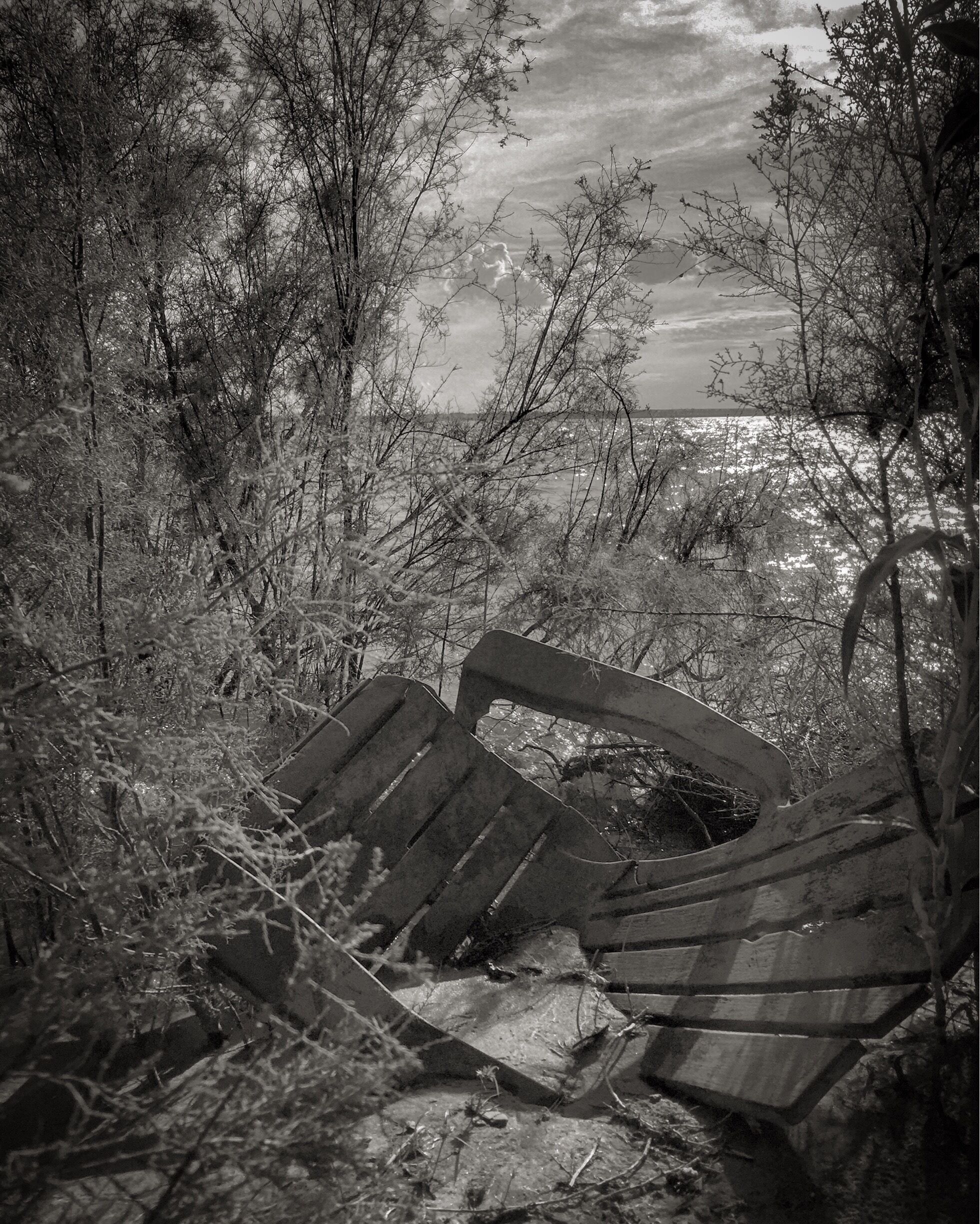 A weathered bench in a natural setting with trees and a body of water in the background.