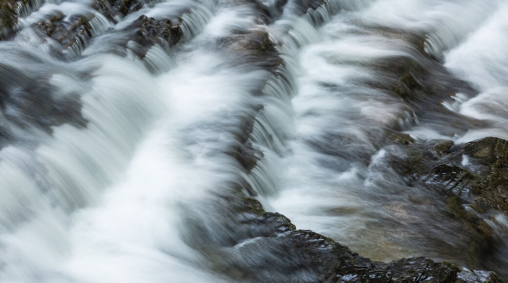 Un río de rápido caudal con aguas turbulentas y terreno rocoso.