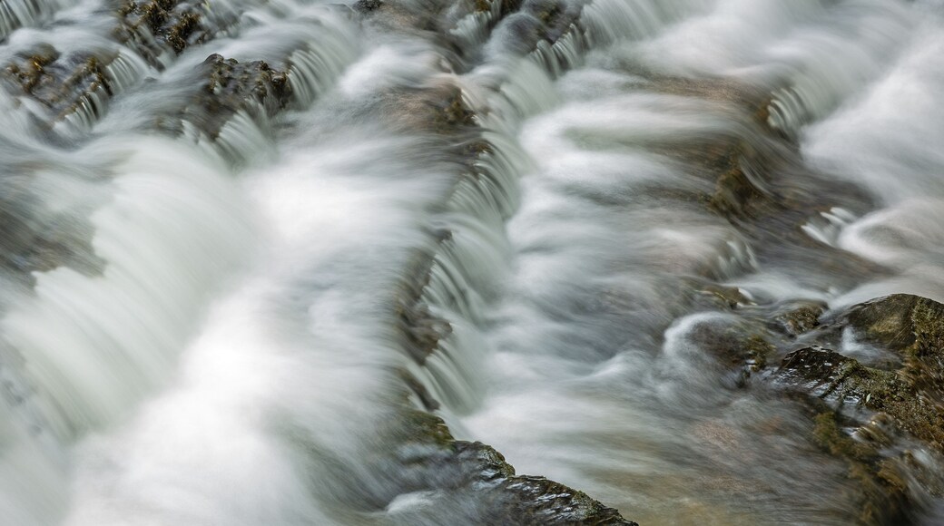 Un río de rápido caudal con aguas turbulentas y terreno rocoso.