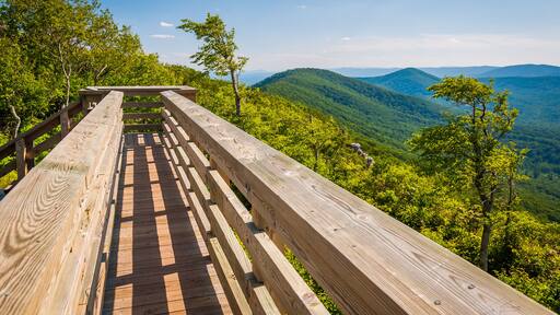 Wooden bridge and view of the Appalachian Mountains from Big Sch