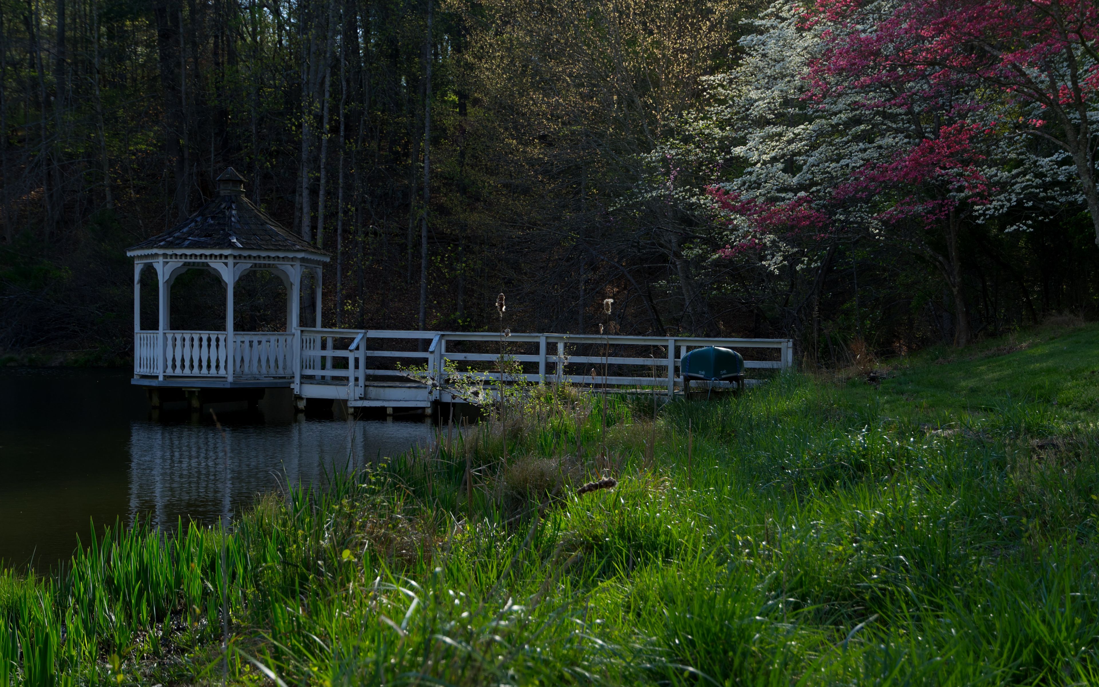 a tranquil pond on a calm spring morning with dogwood trees and red bud trees in full bloom with a canoe, a dock and a gazebo in the Blue Ridge Mountains of Virginia