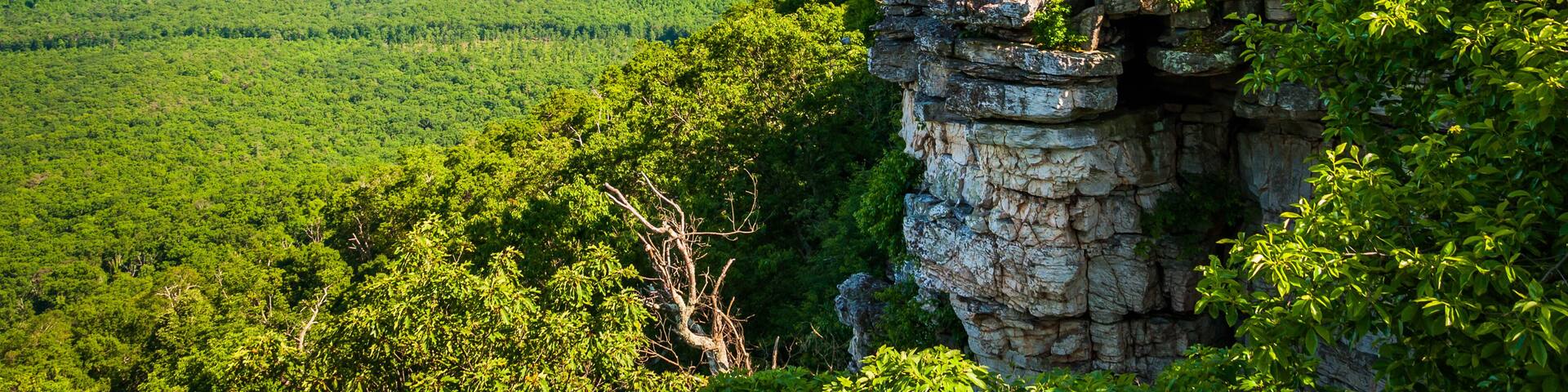 View of the Appalachian Mountains and Shenandoah Valley from cli