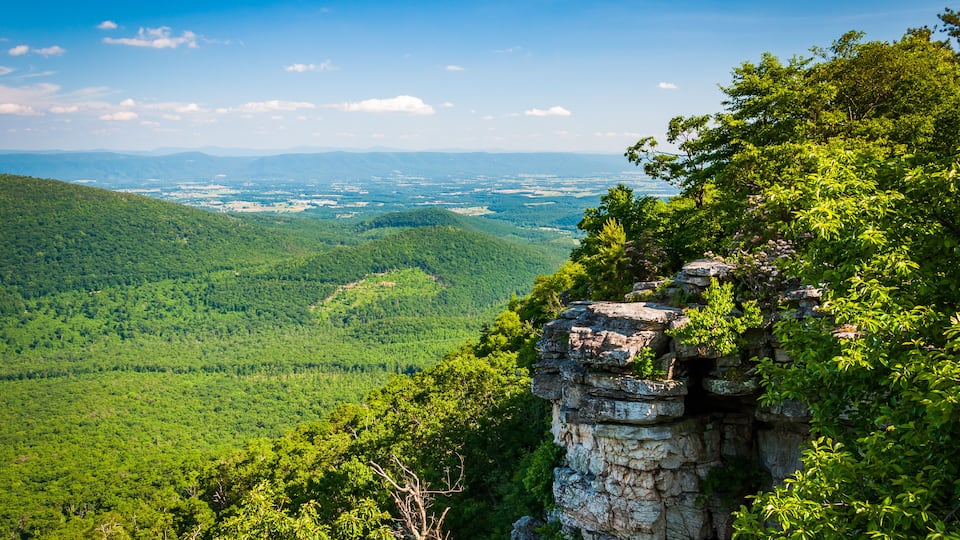 A mountainous landscape with dense green forests and a rocky cliff.