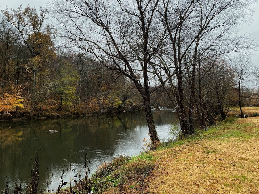 Shot of the river.
