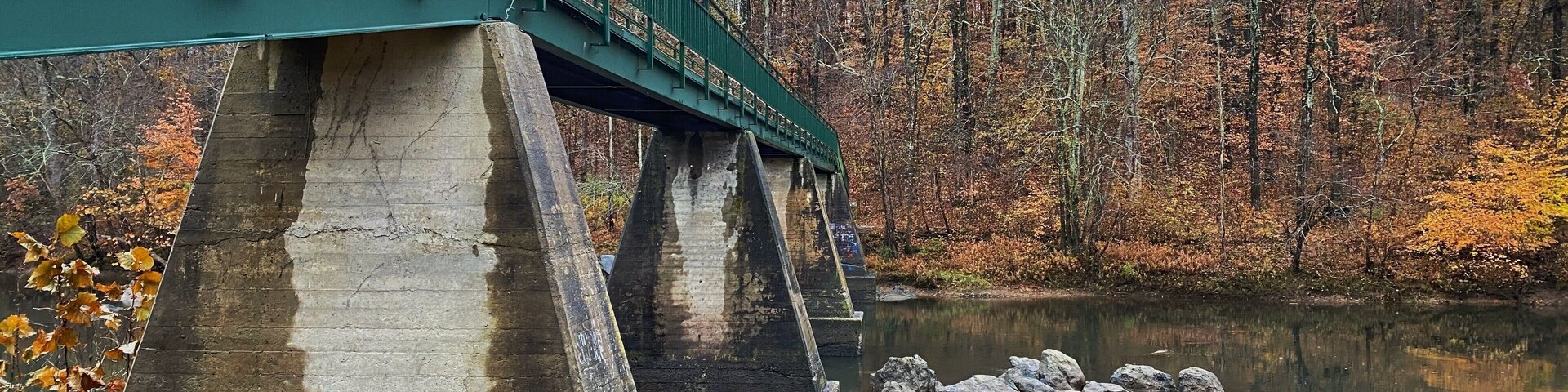 The bridge at the park.
