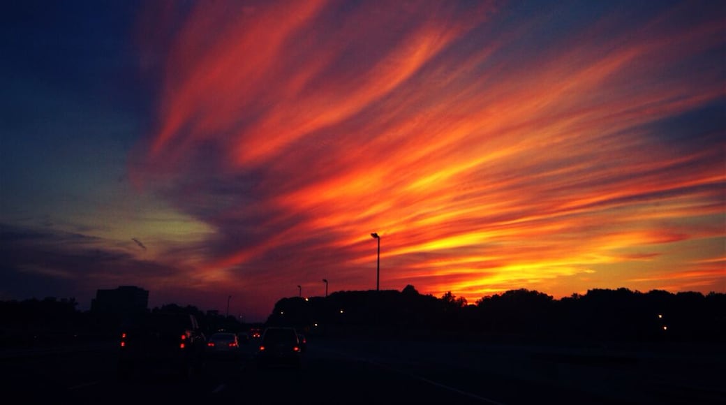 My rush hour view
#Red
#BestOf5