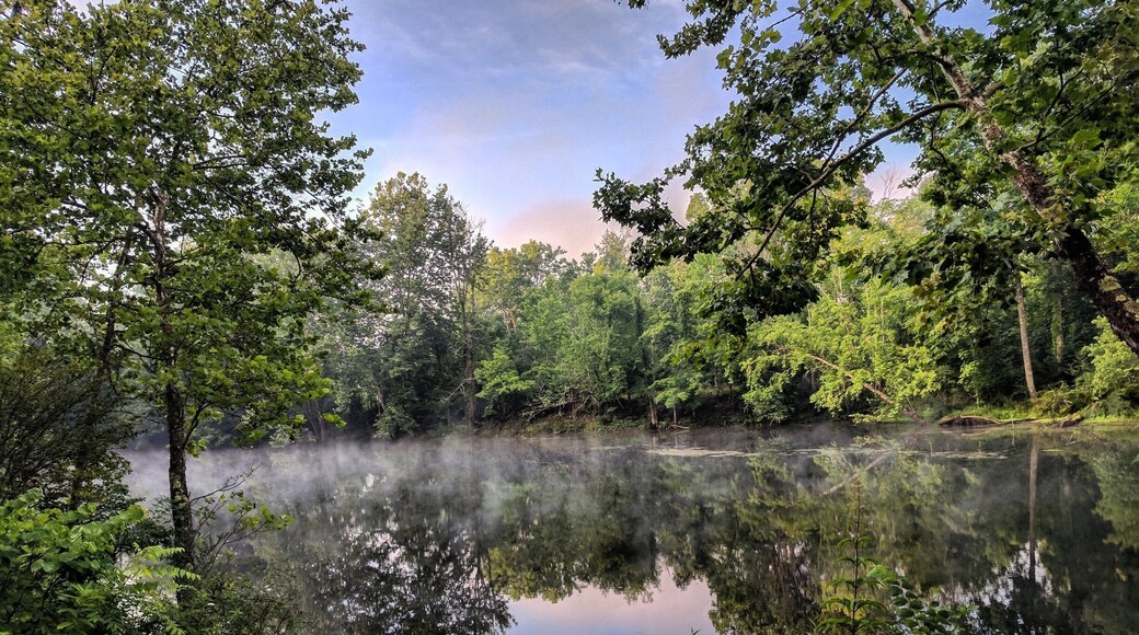 Early morning mist hovering the water.