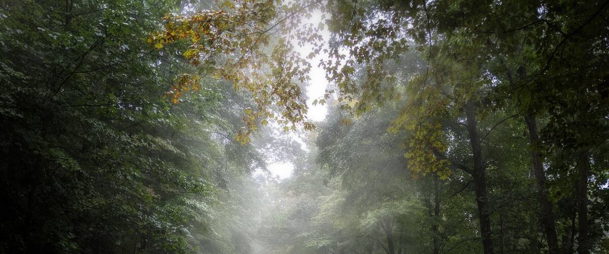 Just a gorgeous ride
#nature #travel
#photo