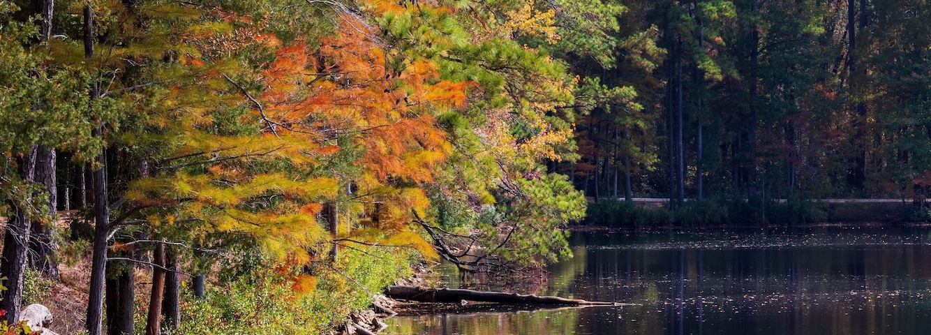 Vertical of a lake surrounded by autumn trees at Cheraw State Park in Chesterfield, South Carolina