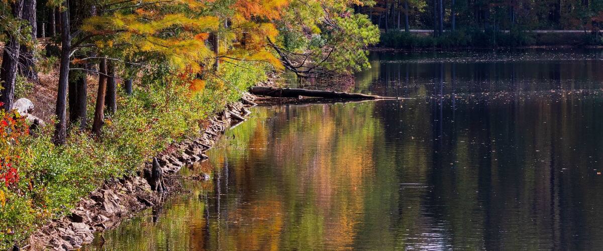 A calm lake surrounded by autumn-colored trees.